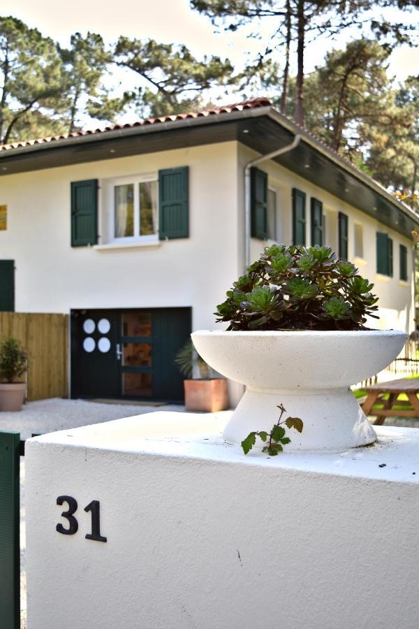 Nid De Line, Villa Hostal Naou Hossegor Wifi Netflix Soorts-Hossegor ภายนอก รูปภาพ